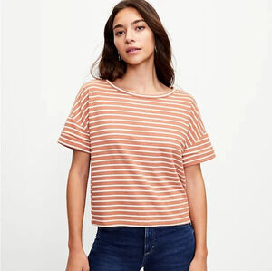 LOFT Nwt Boxy Oversized Cropped Peachy Brown & White Dot Striped Crewneck Tee, M